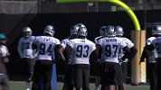 NFL-1516赛季-超级碗倒计时3天：深入卡罗莱纳黑豹训练营-专题