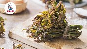 香椿3种保存方法，教你把春天的味道封存起来!