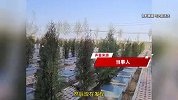 女子称婆婆的公墓被活人霸占：我婆婆的骨灰盒和墓碑都找不到了