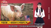 中国买家取消猪肉订单，多家农场面临破产！