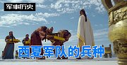 中国古代的西夏军队可分为哪些兵种？
