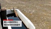 澳大利亚山火造成严重空气污染：雨水漆黑如墨