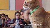 原来喵星人也爱学习！成为教室里的学霸，不迟到不早退