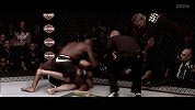 2017UFC第214期合集