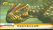 新闻夜总汇-20120410-恐龙也许是水生动物？