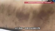 “上海男童被生父女友虐致死案”将宣判，孩子母亲发声