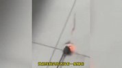 男子给手机充电，插头瞬间冒烟喷火花！惊叫吓退：插头基本没拔过