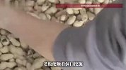 农资店频繁失窃，老板顺着墙上的洞口一挖傻眼了：老鼠搬走30斤花生种子堆成山
