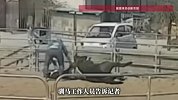 烈马受驯时反抗上演后空翻躺地，驯马师淡定回应：10天左右能驯好