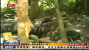 泰国南部一学校遇袭 4名站岗士兵死亡