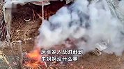 牛妈妈担心小牛犊被火烧，一点点挪过去用身体盖住火源，主人：险些被烧死