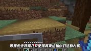 我的世界：铁傀儡有隐藏技能？竟然当众向我献花表白！