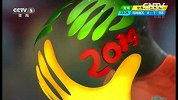 世界杯-14年-小组赛-C组-第1轮-科特迪瓦队亚亚图雷直接任意球高出-花絮
