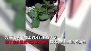 银行将换下的国旗扔地上，退伍军人捧起来归还，银行：知道此事