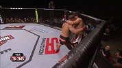 UFC-14年-UFC Fight Night 43自由格斗：特胡纳vs罗萨-专题