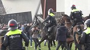 115人被捕 7人入狱！荷兰警方动用水枪、骑警驱散示威者