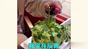 奇葩菜品设计，造型花里胡哨，我是不敢吃