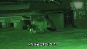 流浪猫头上被钉钉子，见人就躲，为何人类如此残忍？