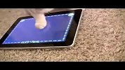 [搞笑]專為貓而設的ipad遊戲