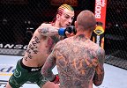 雏量级12战全胜超新星崛起 未来或是宋亚东UFC争冠劲敌