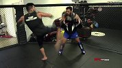 UFC-17年-盖斯特鲁姆专访：我才是UFC里的精英选手-精华