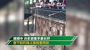 云南某动物园惊现"钓老虎" 园方回应:从没跳上来过
