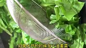 炒油麦菜时，不要直接下锅炒了，分享一招，翠绿不发黄，鲜甜脆爽
