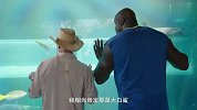 奥尼尔水下录节目突遇大鲨鱼游来 随后他的举动却是......