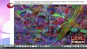 财经频道-科学家构建出脑部地形图