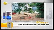 浙江六旬老汉点香烛挂白花祭树 遭邻居投诉