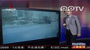 推土机清理积雪 让人hold不住