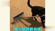 要想生活过得去，这动物干活也要卖力