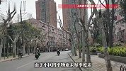 上海一小区居民懵了：物业明明收了钱，公示都是“0”