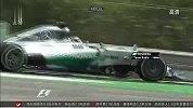F1-14赛季-F1巴西站罗斯博格夺冠 汉密尔顿亚军马萨季军-新闻