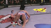 UFC-15年-UFC91中文典藏：轻量级弗洛里安vs斯蒂文森-全场
