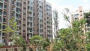 山西一男子留下10套房离家打工 回来后傻眼了