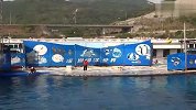 旅游-深圳海洋剧场之二
