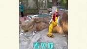 不怕苦不怕累，就怕这些沙雕cosplay