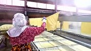 揭秘豆制品加工厂，用这种方法，制作出日常食用的腐皮和腐竹