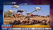 最搞笑动物 为觅食山羊也上树 111231 北京您早