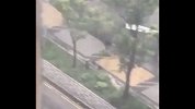山竹也不能阻挡我打球 风雨再大也不怕