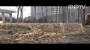 90后制服控 穿梭于男女之间的爱情