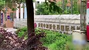 贵阳一国际学校老师涉嫌猥亵小学生，已被检察院批捕