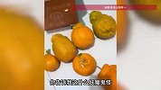 女子网购一箱粑粑柑开出百种丑法：见过货不对板，没见过毫无关系