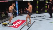 UFC-17年-UFC第219期副赛全程（英文解说）-全场