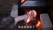 大哥你去看看什么情况，兄弟跟紧我，这里面烤肉味真香啊