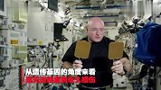新发现！NASA宇航员太空待340天 DNA发生永久突变