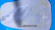 千层饼好吃有诀窍，只需多加一步，柔软多层，可以一层层揭着吃