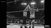 WWE-17年-经典时刻：瑞克·福莱尔改变判罚 送葬者赢得双料冠军-专题