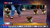 南京：300余只宠物犬参加首届“狗狗运动会”